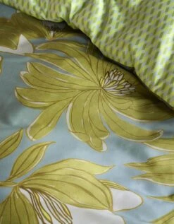 OILILY Winkel -OILILY Winkel B000329908 709 2