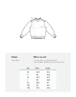 OILILY Keesje Trui(Keesje Turtle Pullover) -OILILY Winkel F25WKN3031 715 9